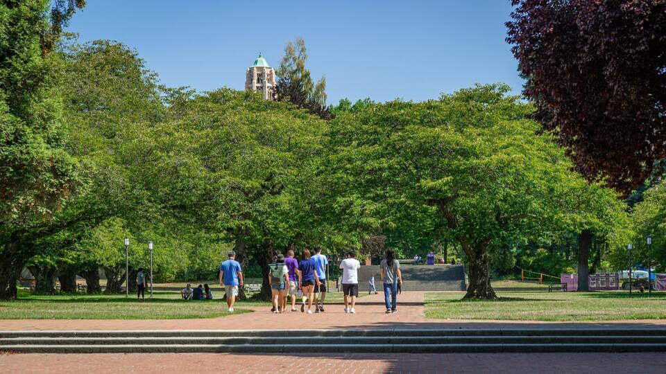 University of Washington which includes a park as well as a small group of people