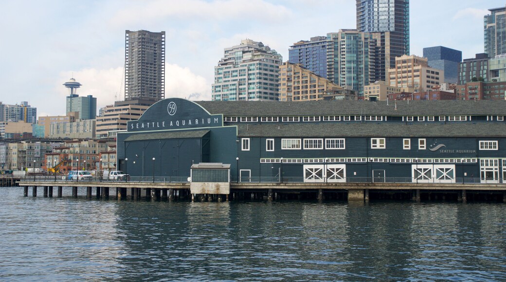 SEATTLE, WASHINGTON, USA - JAN 25th, 2017: A view on Seattle downtown from the waters of Puget Sound. Piers, skyscrapers, Space Needle and Seattle Aquarium in the city before sunset