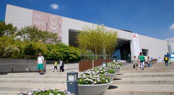 National Museum of Korea presenterar blommor såväl som en liten grupp av människor