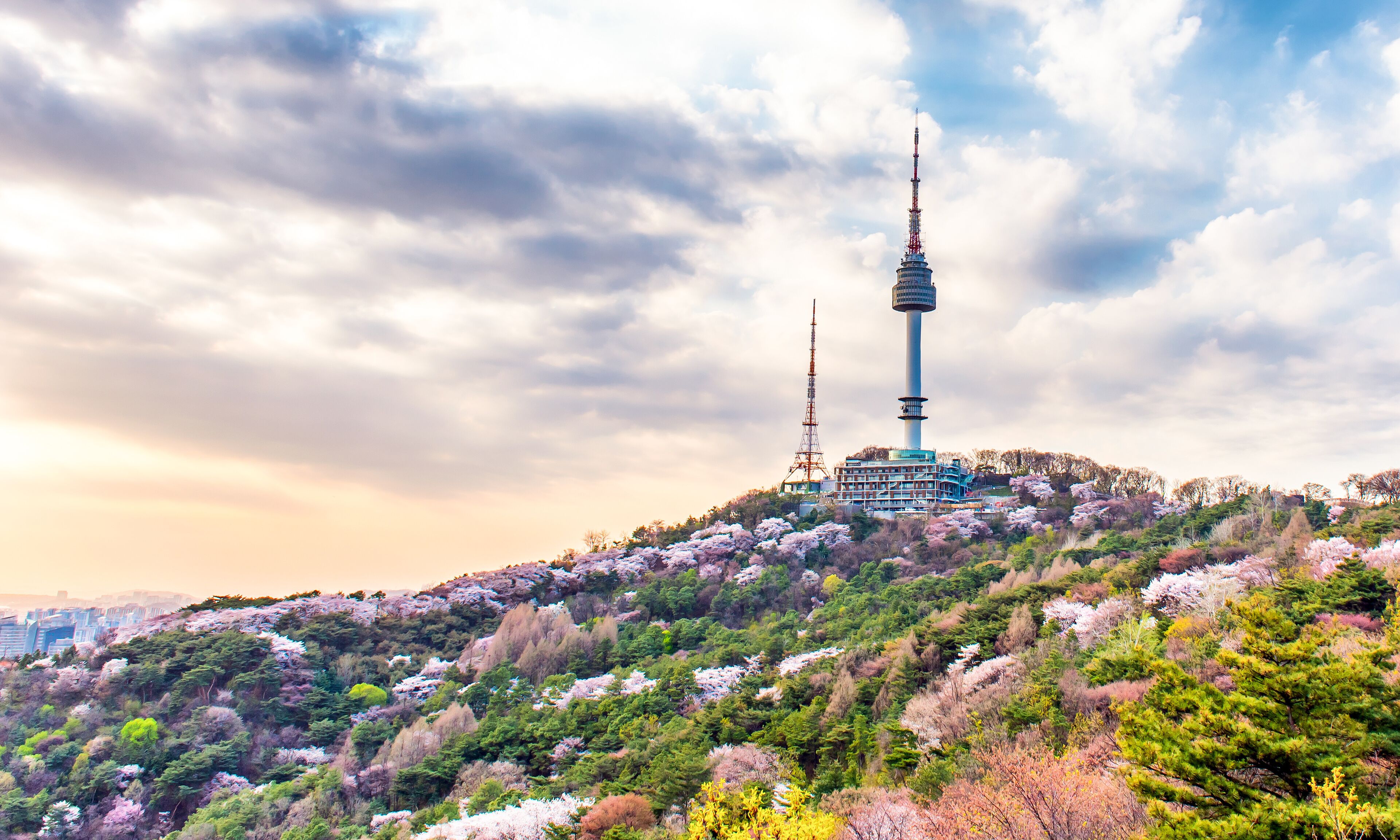 Namsan mountain in spring at seoul south Korea