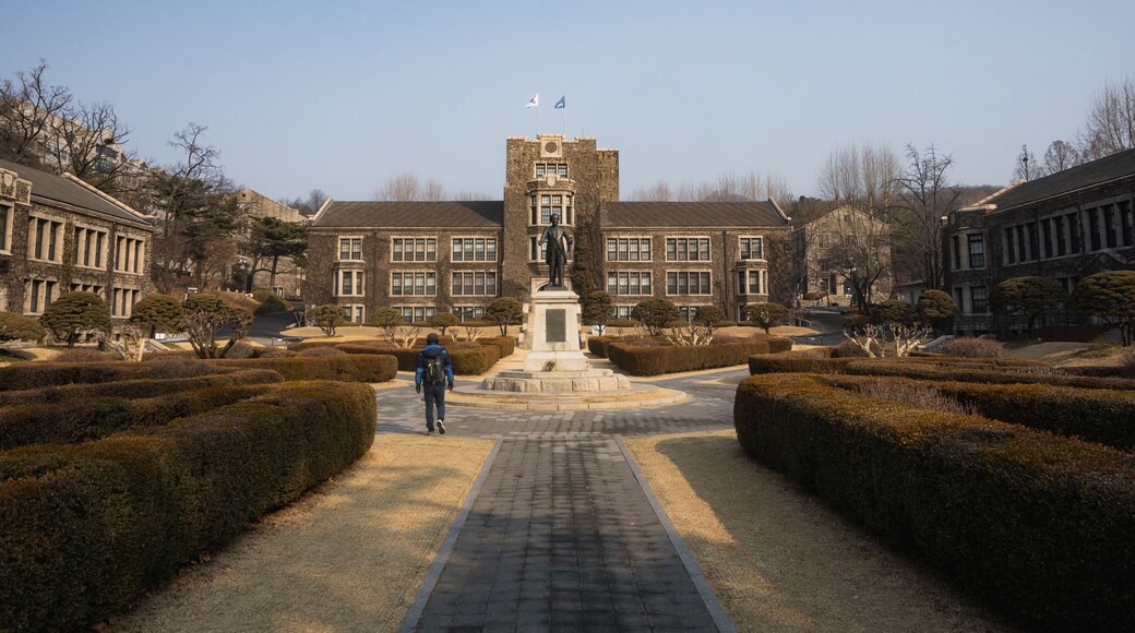 延世大学