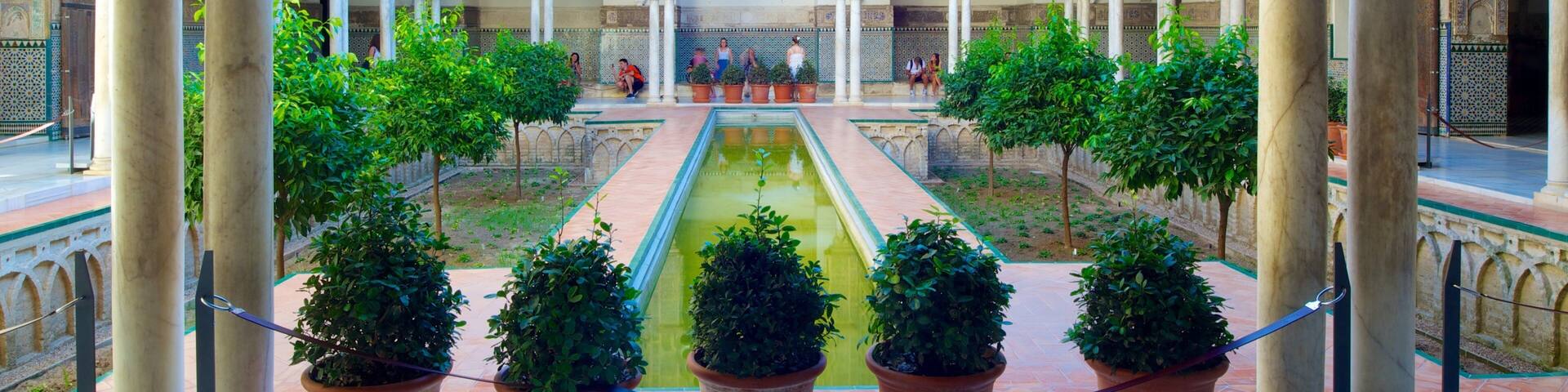 Alcazar montrant patrimoine architectural, château et mare