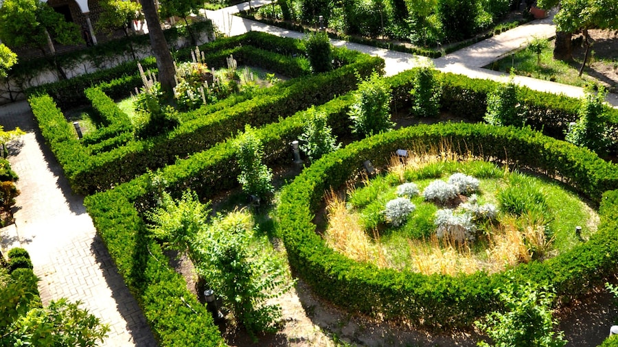 Royal Alcázar showing a garden