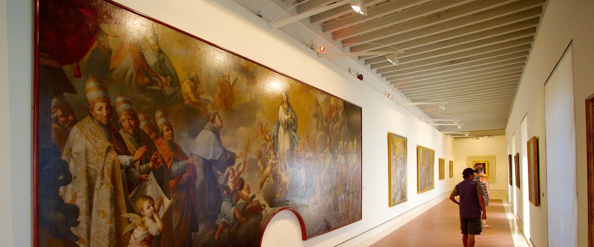 Museum of Fine Arts -taidemuseo joka esittää taide ja sisäkuvat