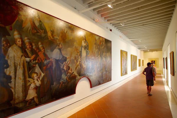 Museum of Fine Arts montrant art et vues intérieures