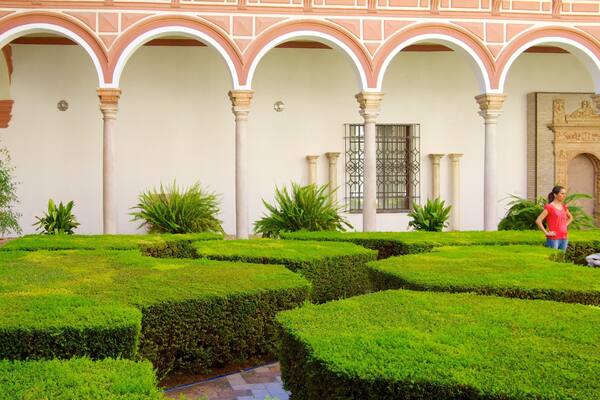 Museum of Fine Arts das einen Park sowie einzelne Frau