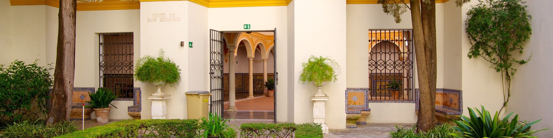 Museu de Belas Artes que inclui um lago