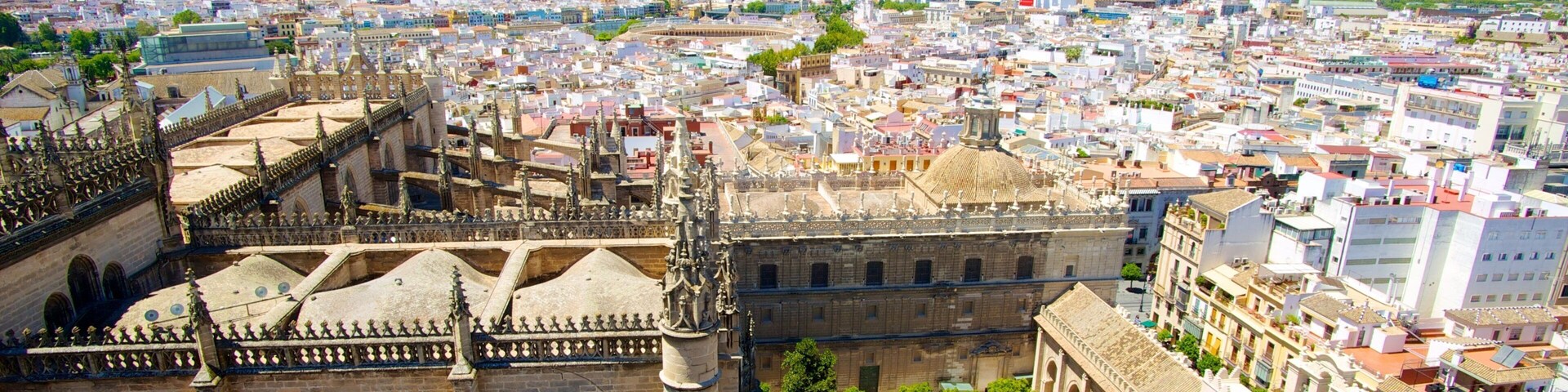 La Giralda which includes skyline, a city and heritage architecture