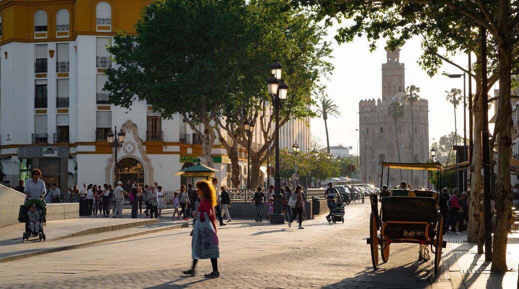 Torre del Oro Watchtower which includes a sunset and street scenes as well as an individual femail