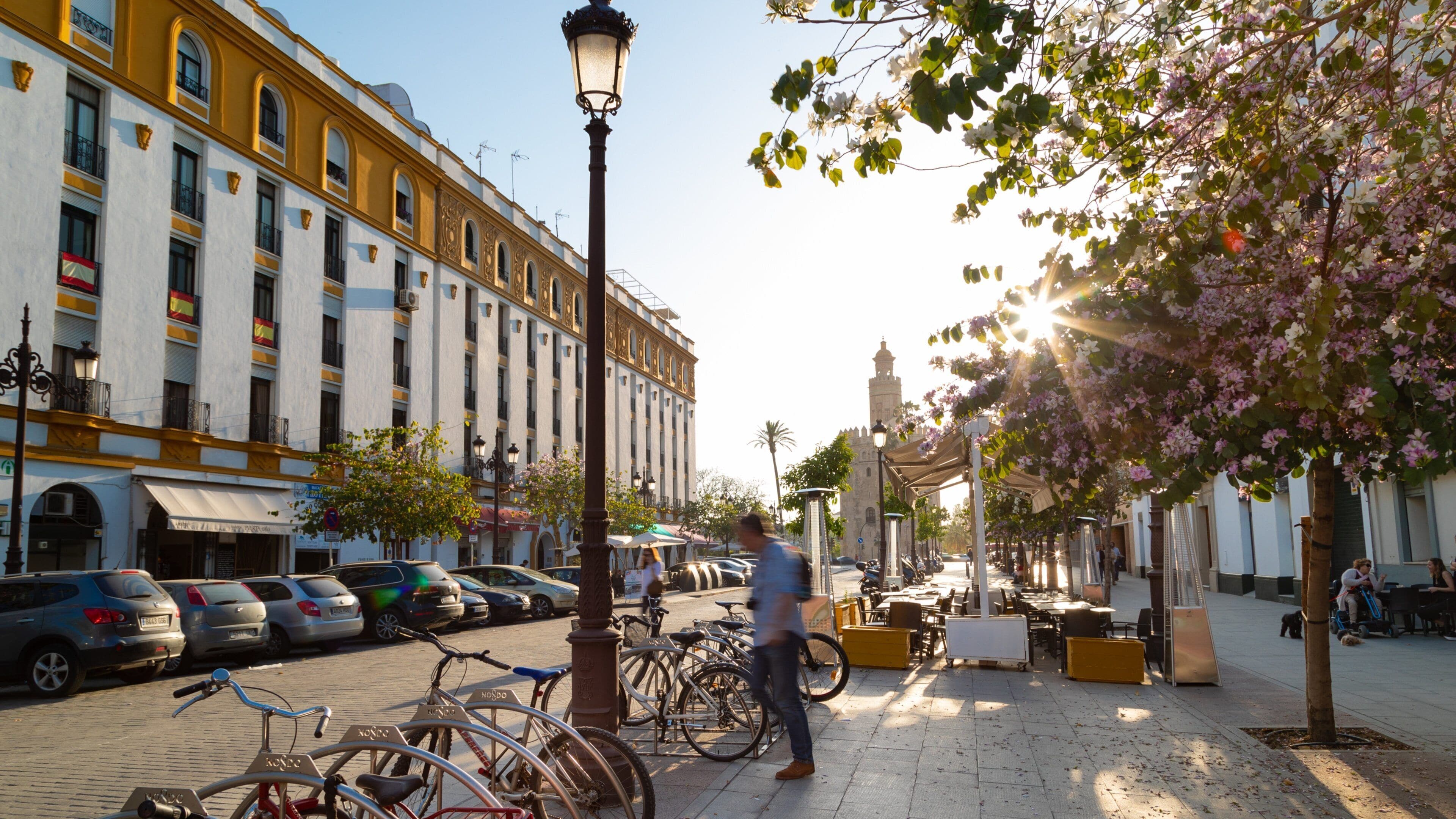 Torre del Oro Watchtower which includes a sunset