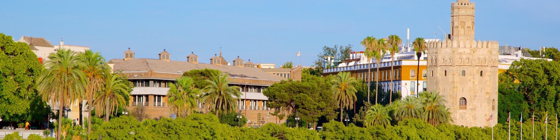 Torre del Oro Watchtower which includes a coastal town, heritage architecture and a marina