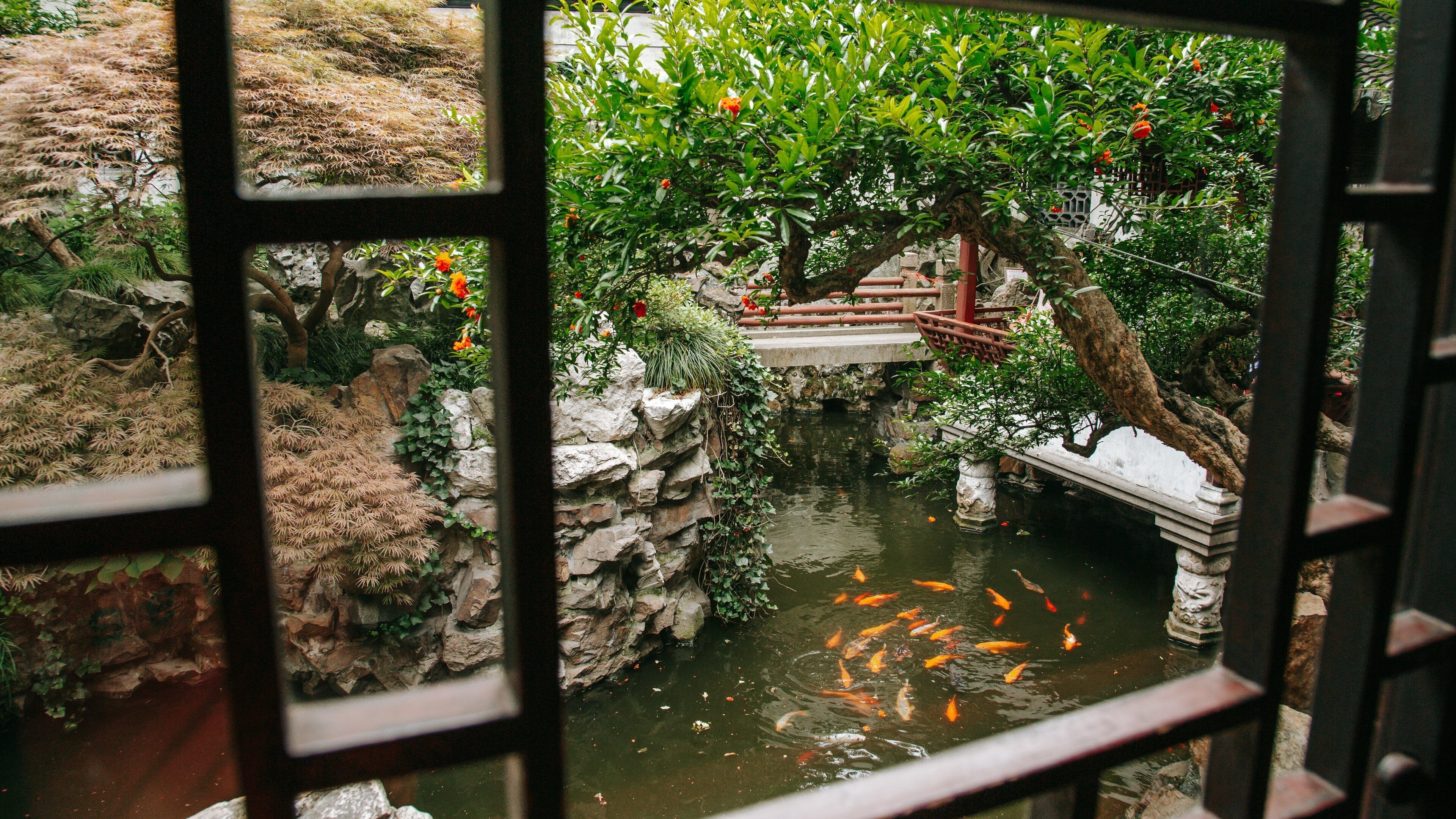 Shanghai which includes a pond and marine life