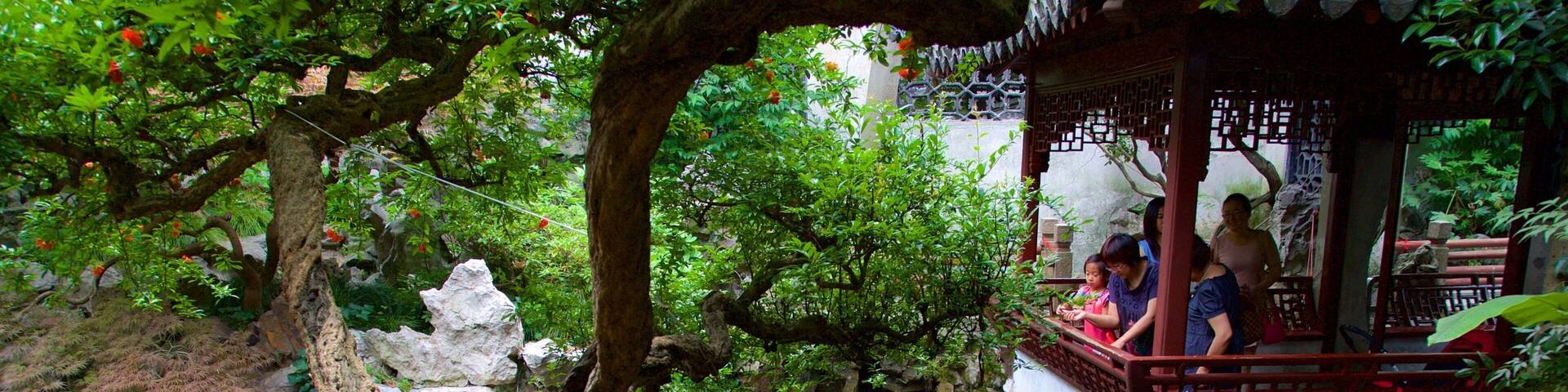 A traditional Chinese garden with a water feature, koi fish, and a pavilion.