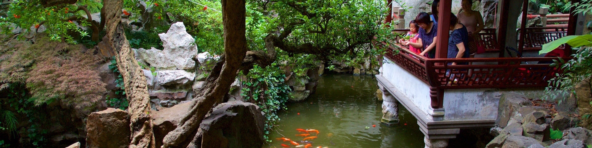 Un jardín chino tradicional con una fuente de agua, peces koi y un pabellón.