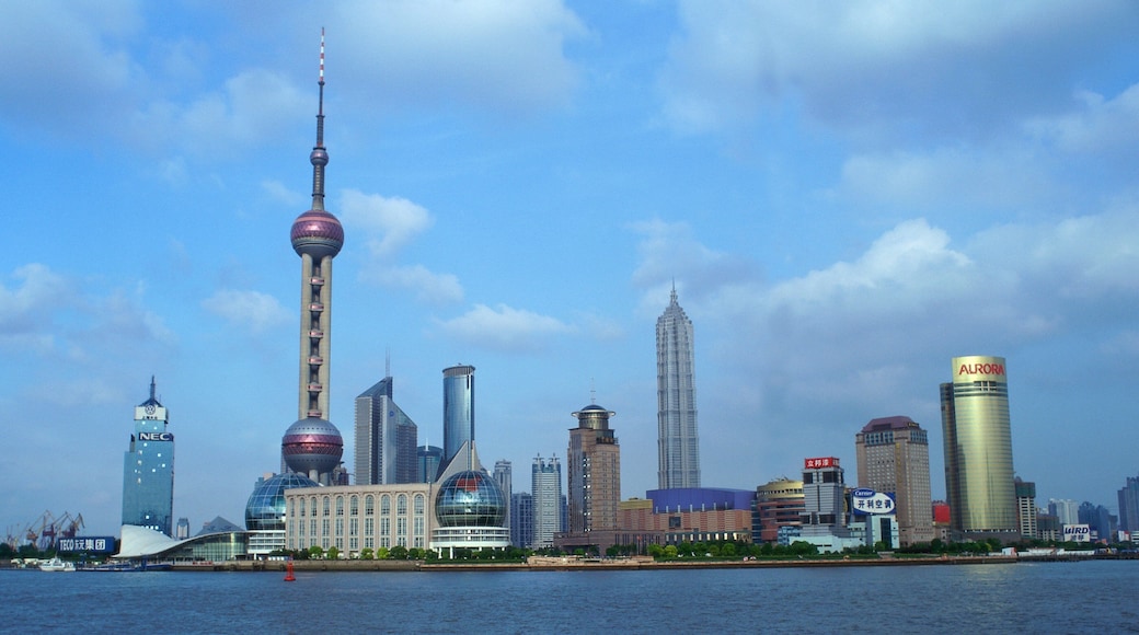 Oriental Pearl Tower which includes a city, a high rise building and skyline