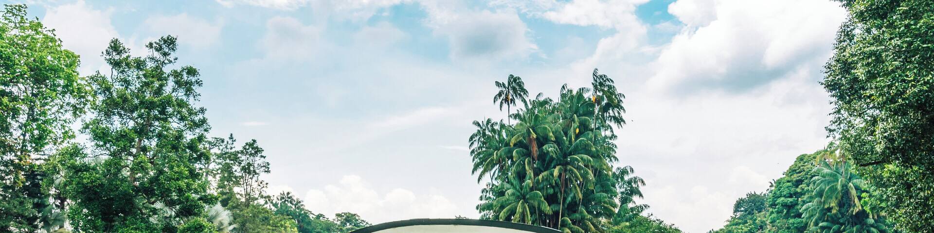 Une structure architecturale moderne, entourée d’un bassin orné de nénuphars, de palmiers et d’un jardin bien entretenu.