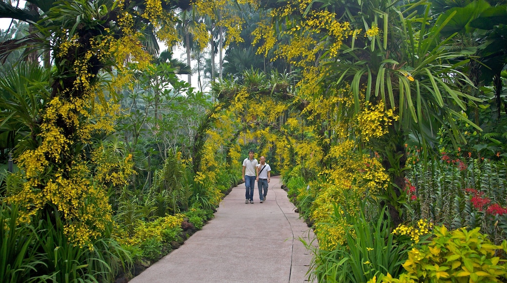 Orto Botanico caratteristiche di parco