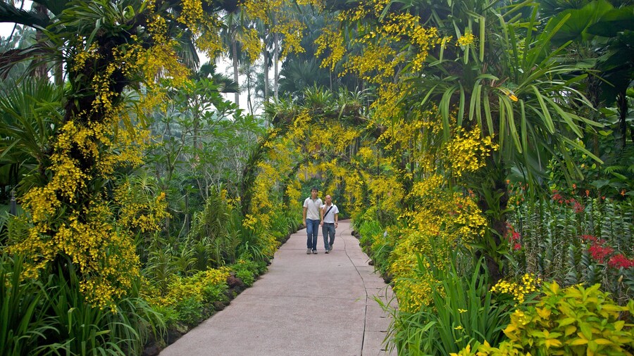 Singapore Botanic Gardens which includes a park