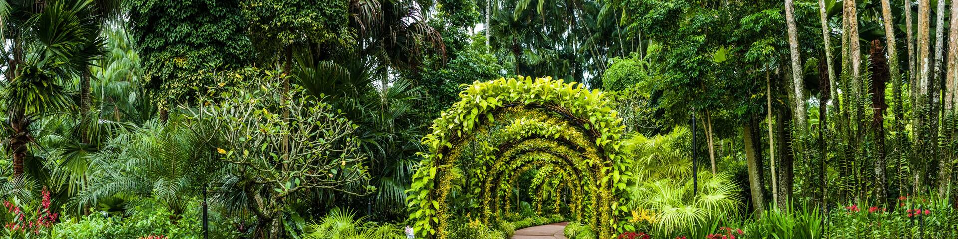 panorama, orchid arch in Singapore botanical gardens