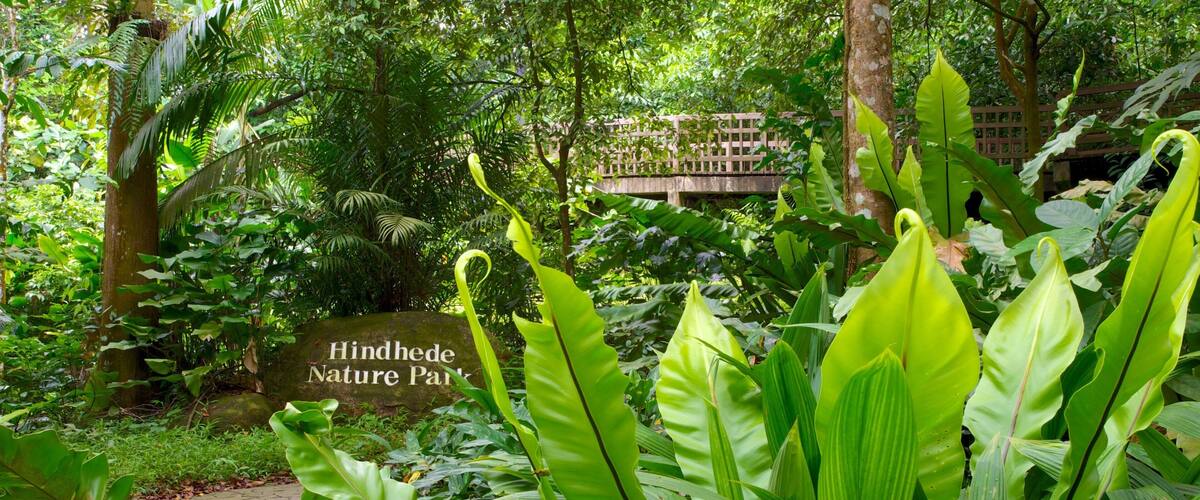 Bukit Timah Nature Reserve which includes forests, landscape views and rainforest