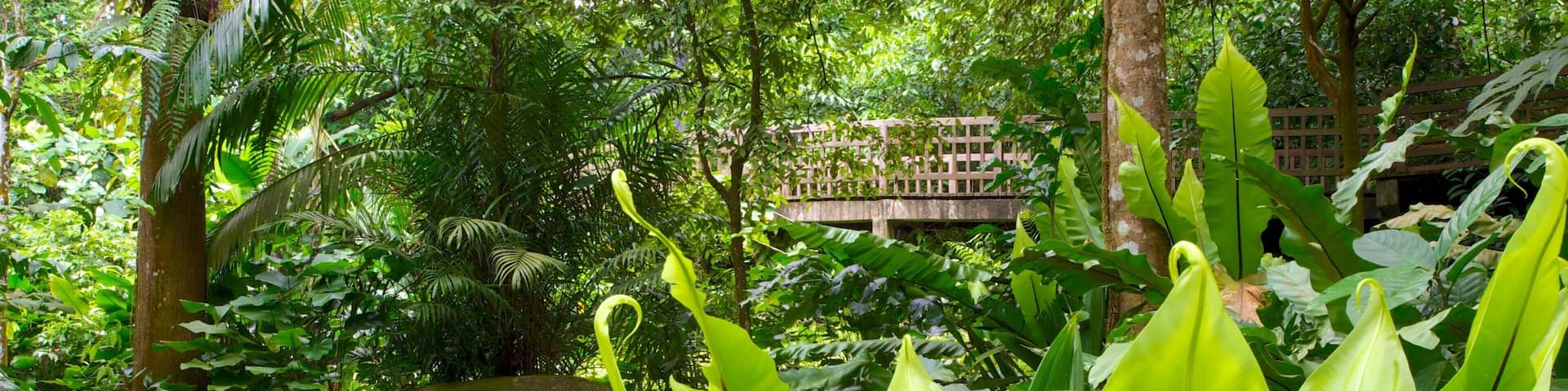 A lush garden with large green leaves, a stone sign reading "Hindhede Nature Park," and a wooden bridge in the background.