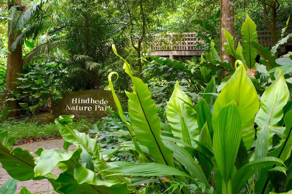 A lush garden with large green leaves, a stone sign reading "Hindhede Nature Park," and a wooden bridge in the background.