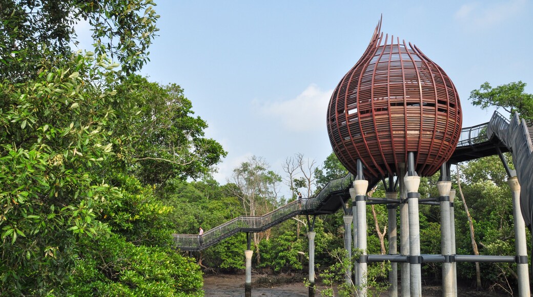 Sungei Buloh Wetland Reserve in Singapore