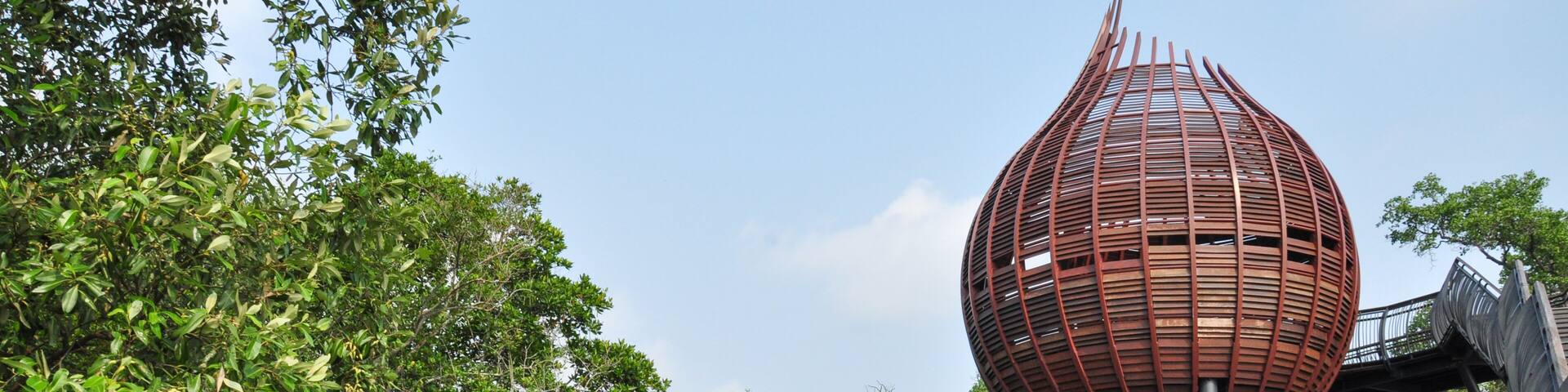 Sungei Buloh Wetland Reserve in Singapore
