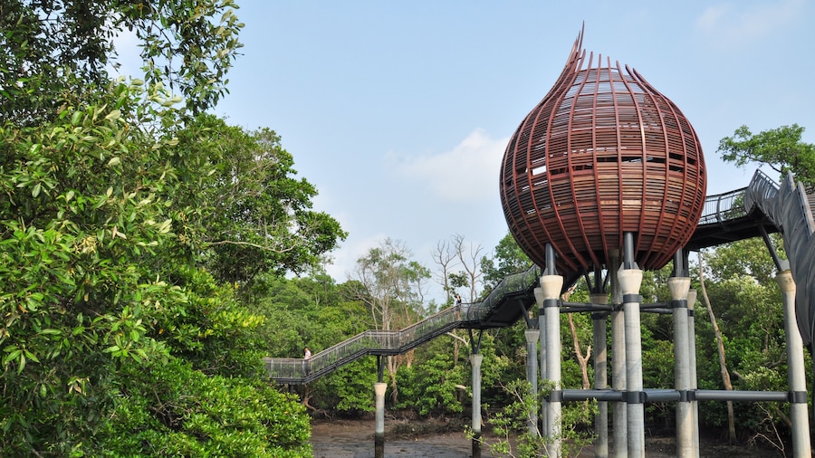 Sungei Buloh Wetland Reserve in Singapore