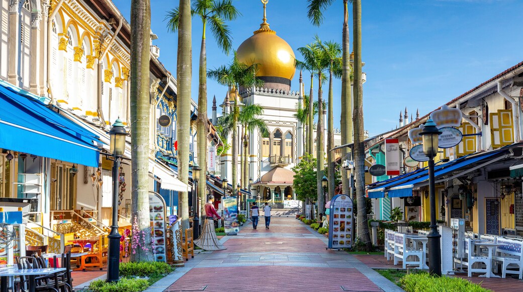 street view of singapore with Masjid Sultan