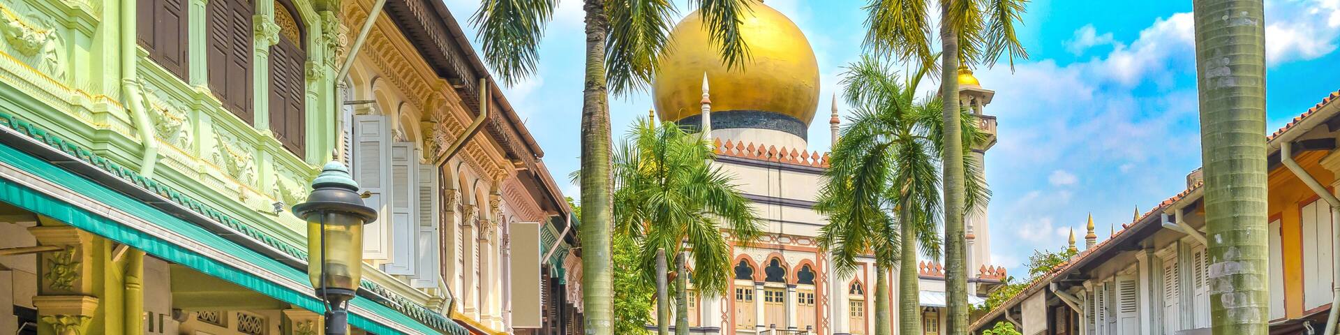 Colorful shophouses with typical shops and the Sultan Mosque in Kampong Glam