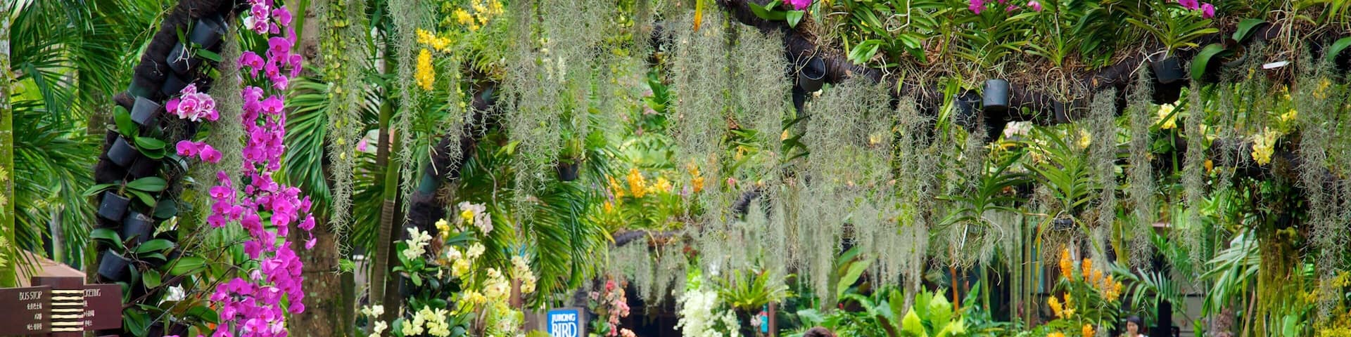 Jurong Bird Park which includes tropical scenes, a park and flowers