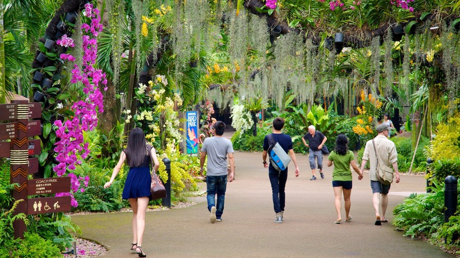 Jurong Bird Park showing a park, tropical scenes and wild flowers