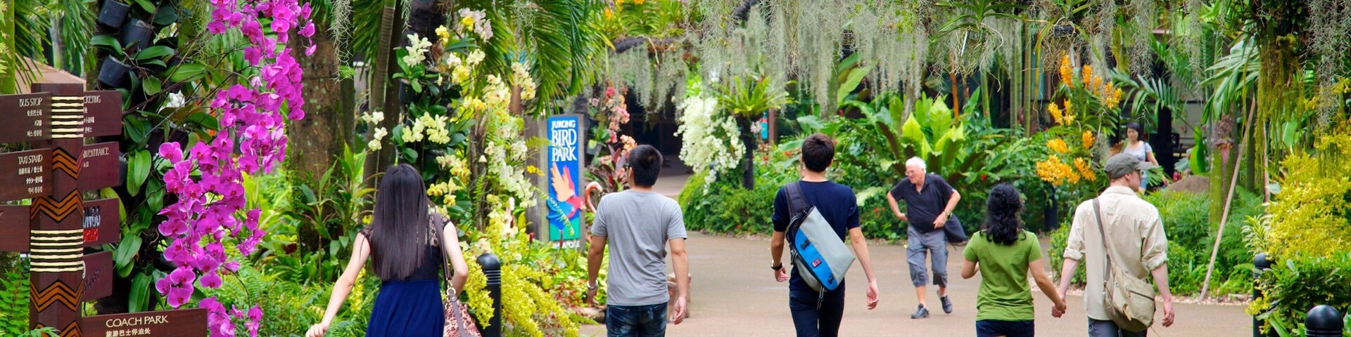 Jurong Bird Park which includes tropical scenes, a park and flowers