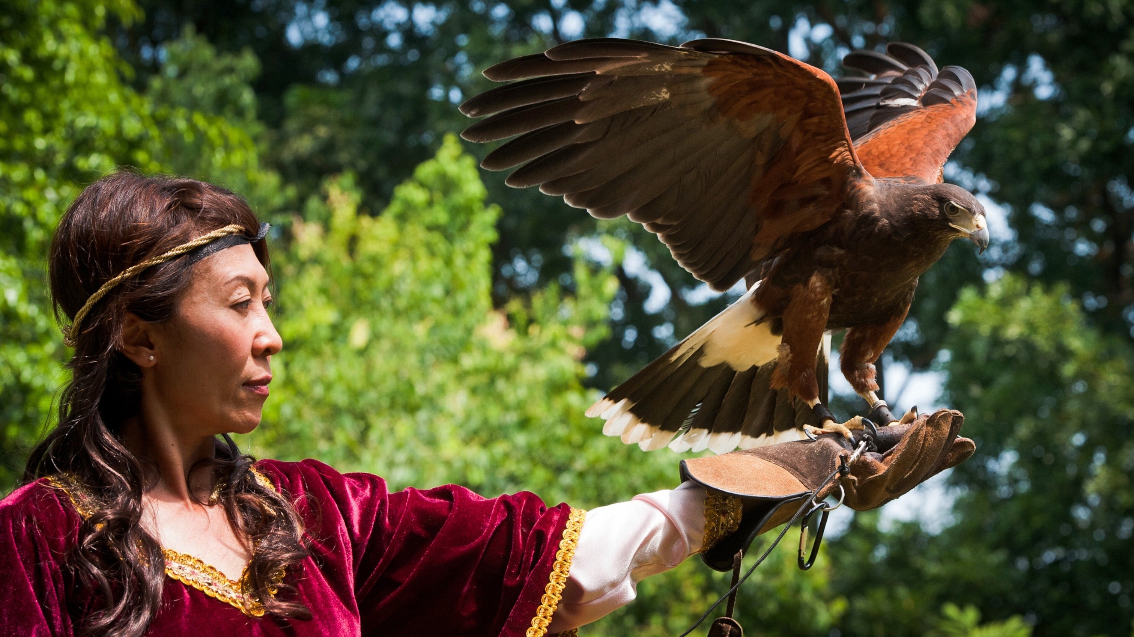 Jurong Fuglepark som viser fugleliv, en have og dyr fra zoologisk have