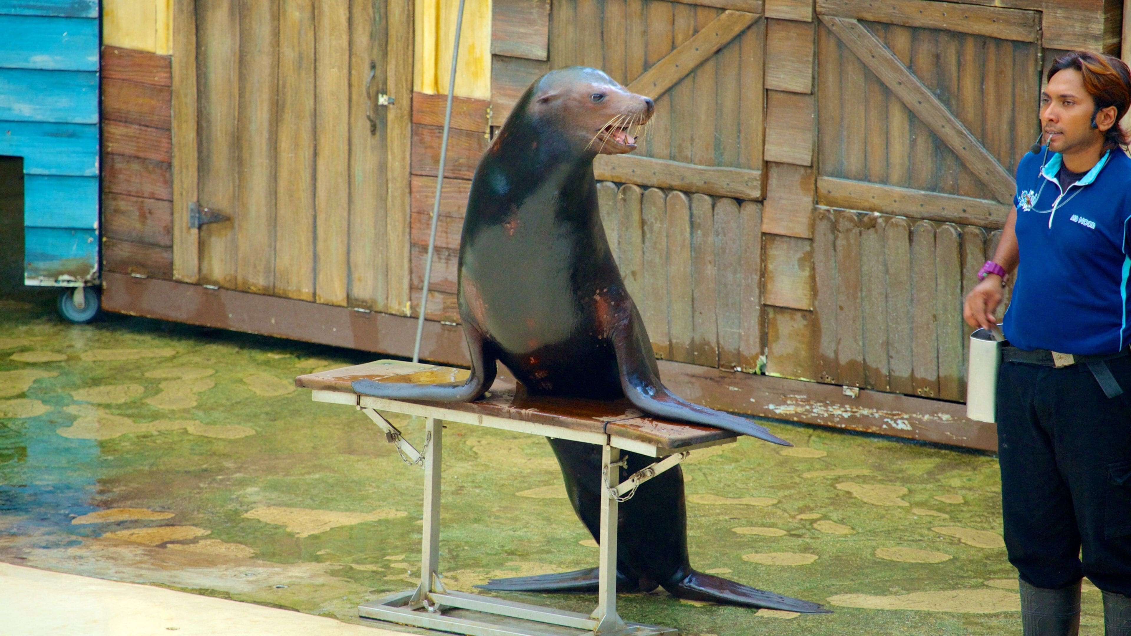 Singapore Zoo which includes marine life and zoo animals as well as an individual male