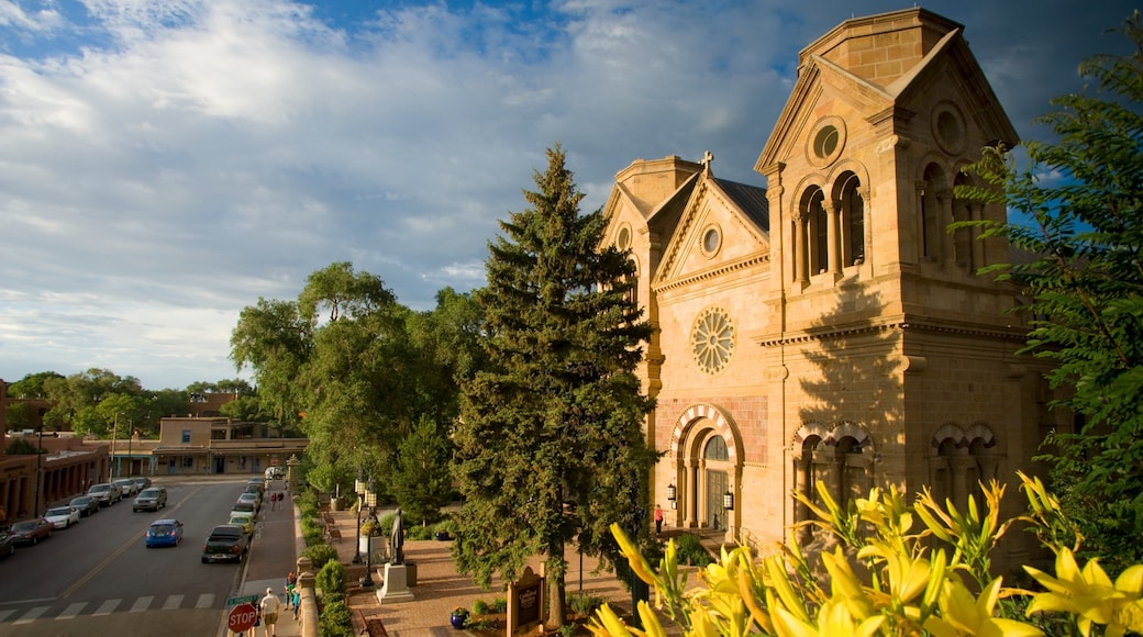 Cathedral Basilica of Saint Francis of Assisi que incluye aspectos religiosos, una iglesia o catedral y arquitectura patrimonial