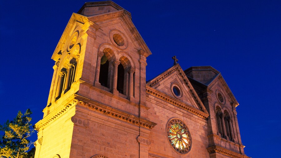 Cathedral Basilica of Saint Francis of Assisi featuring religious elements, a church or cathedral and night scenes