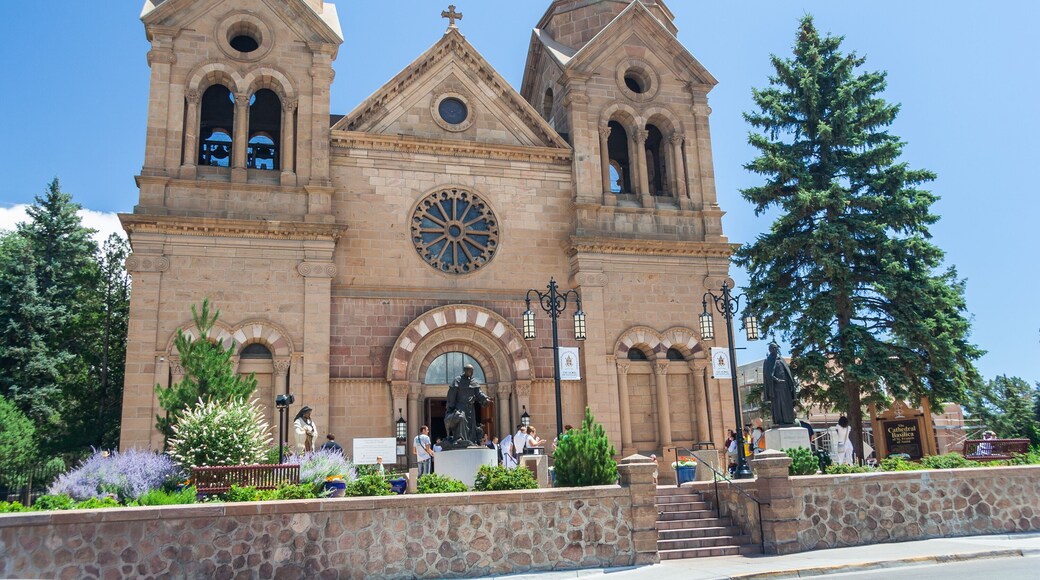 Kathedraal basilica van Sint Franciscus van Assisi