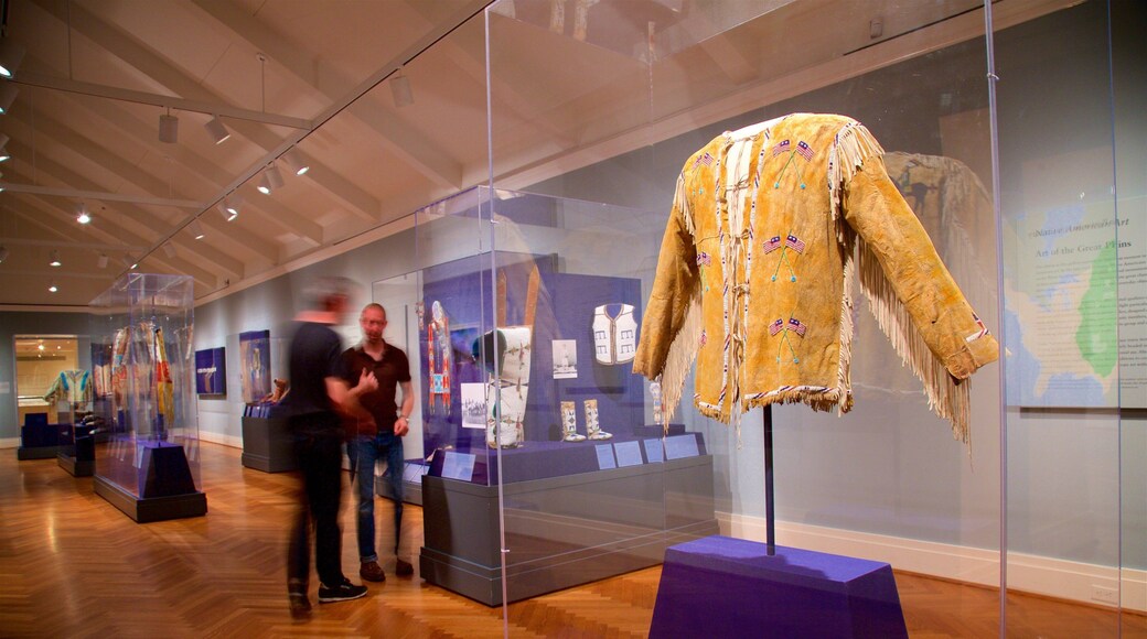 St. Louis Art Museum mostrando arte y vista interna y también una pareja