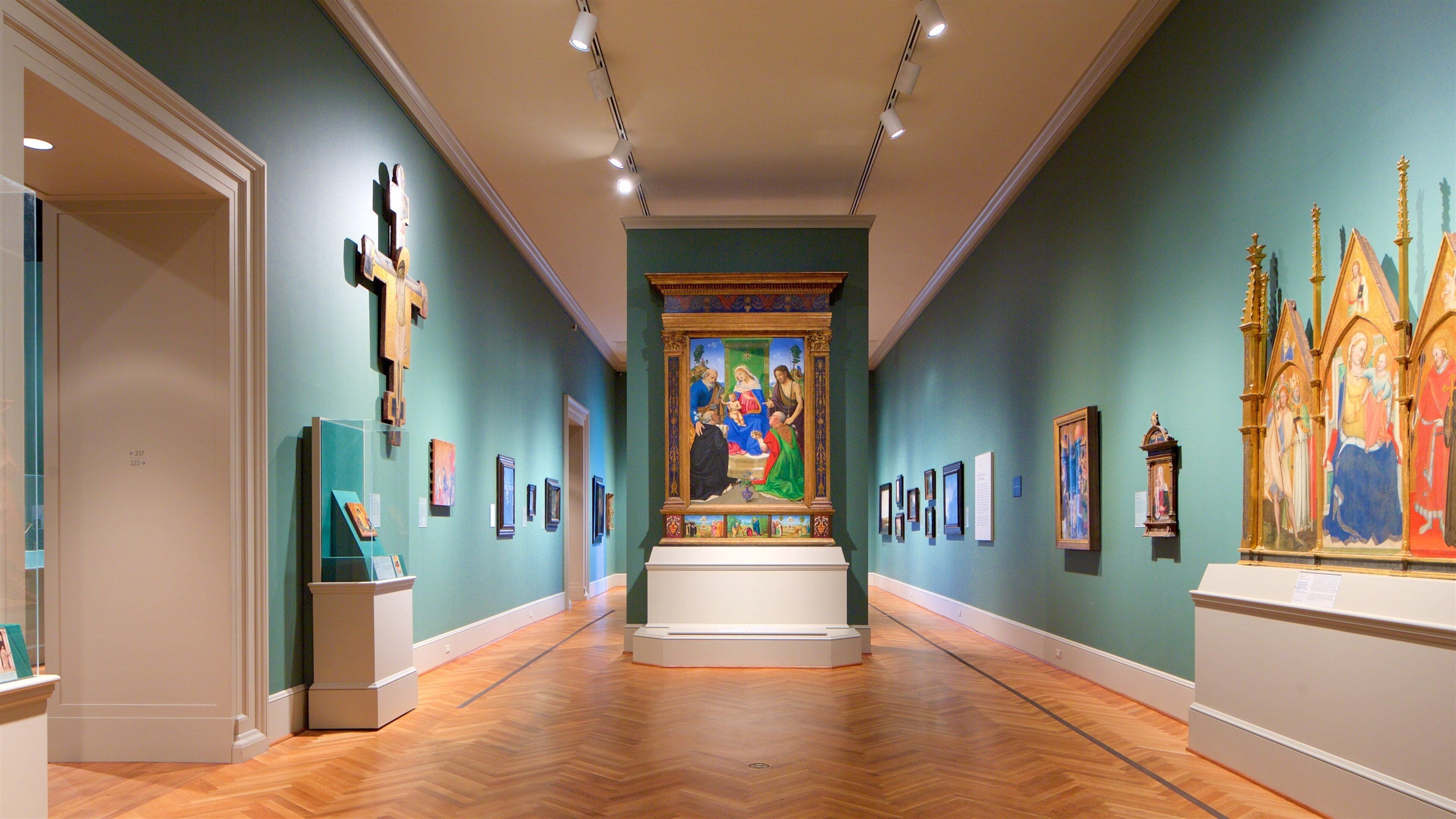 St. Louis Art Museum showing art and interior views