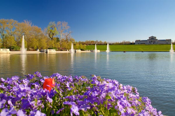 St. Louis Art Museum welches beinhaltet Wildblumen, Springbrunnen und See oder Wasserstelle