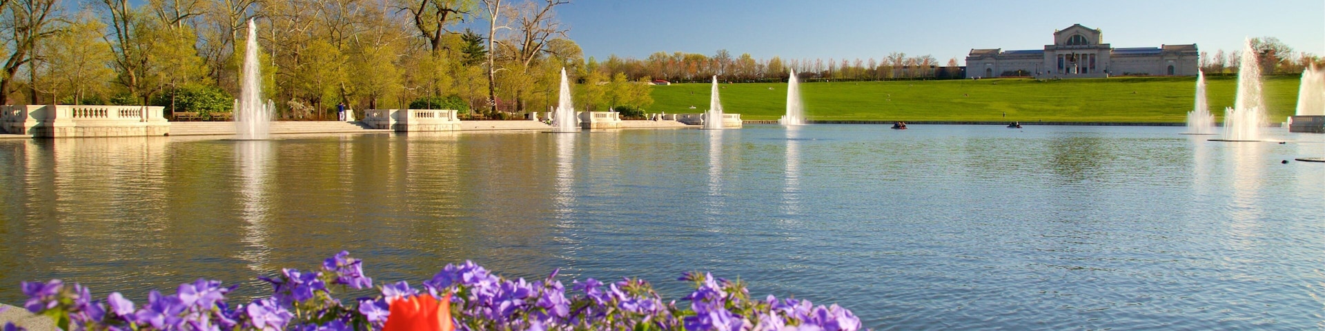 Museu de Arte de St. Louis que inclui um lago ou charco, flores silvestres e uma fonte