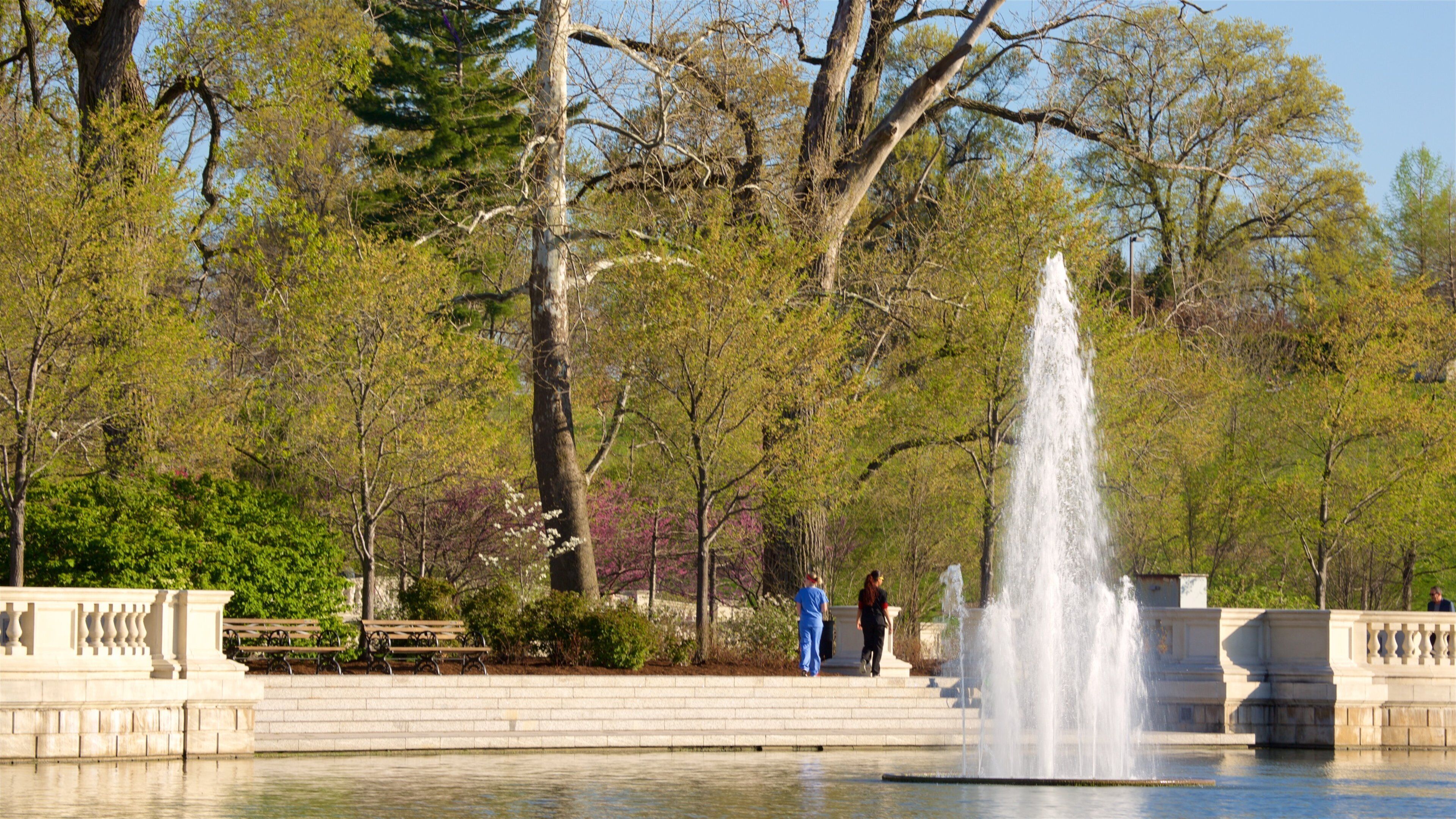 St. Louis Art Museum ofreciendo una fuente, un lago o espejo de agua y jardín