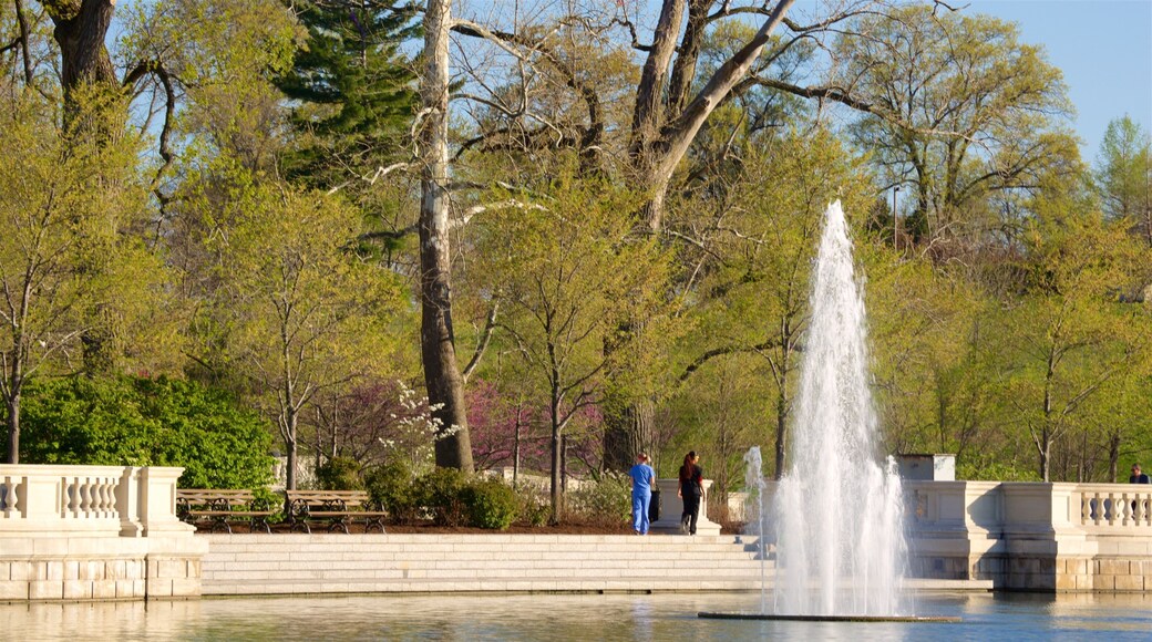 St. Louis Art Museum ofreciendo una fuente, un lago o espejo de agua y jardín