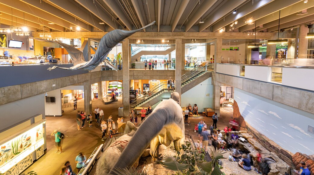 St. Louis Science Center