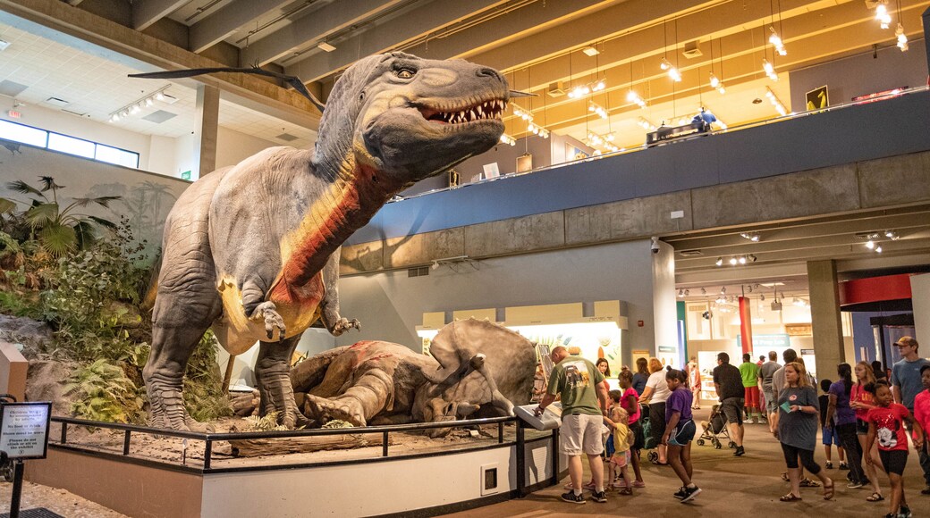 St. Louis Science Center which includes interior views
