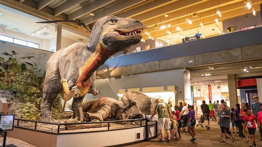 St. Louis Science Center which includes interior views