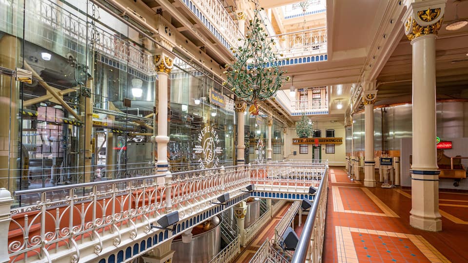 A multi-level atrium with ornate railings, large columns, and a central hanging plant.