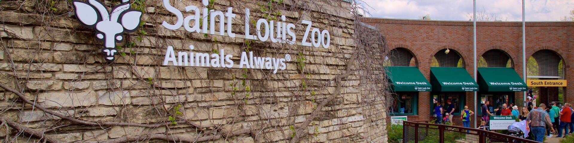 The Saint Louis Zoo sign with vines on the wall.